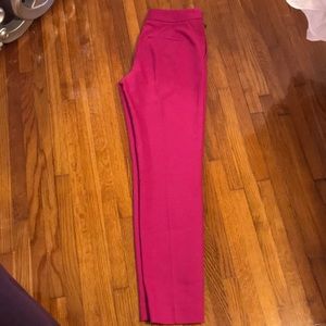 Express slim ankle side zip pant